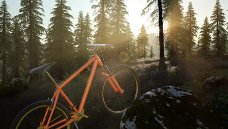 Bicicleta-En-Bosque-De-Montaña